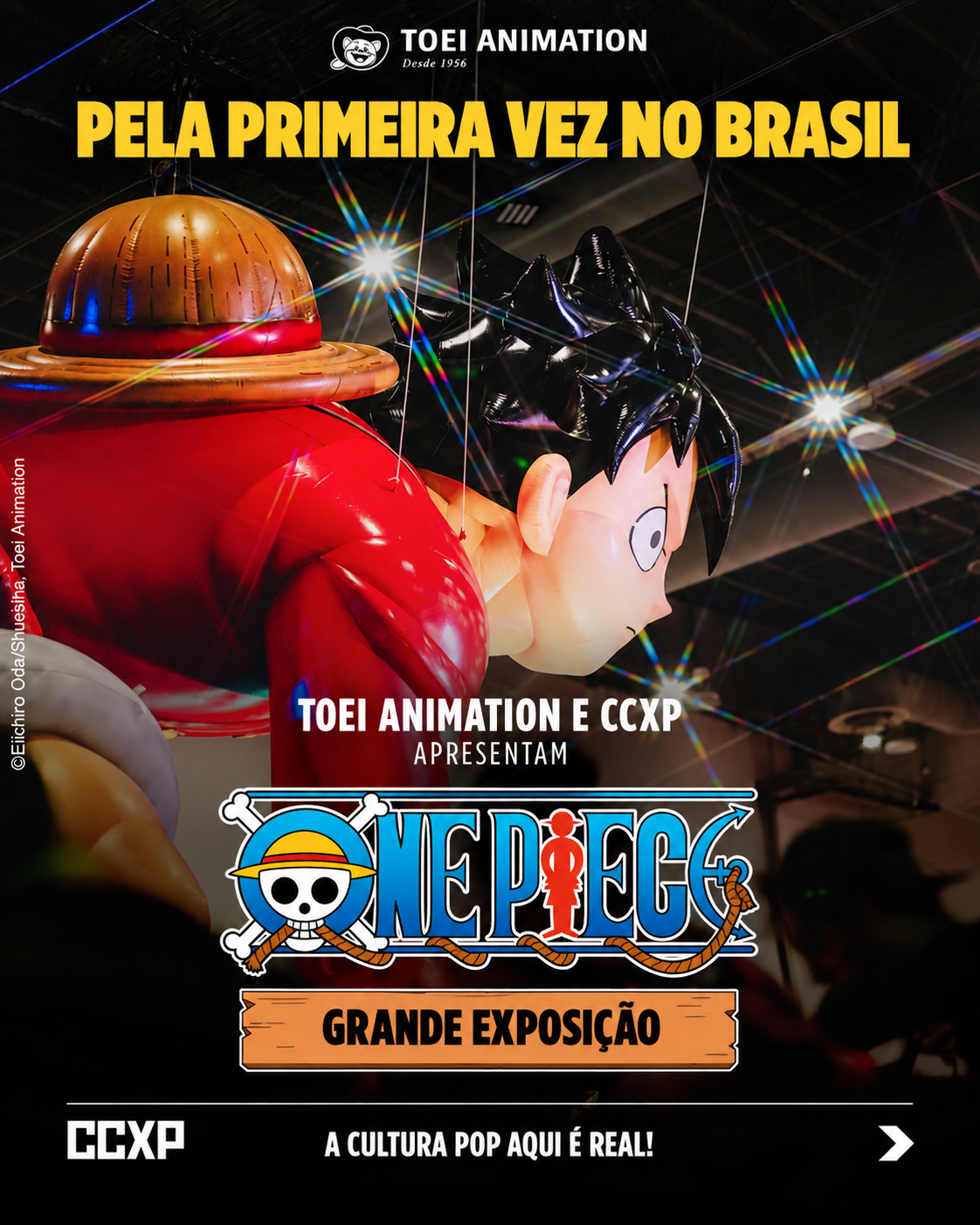 Pôster da exposição de One Piece na CCXP